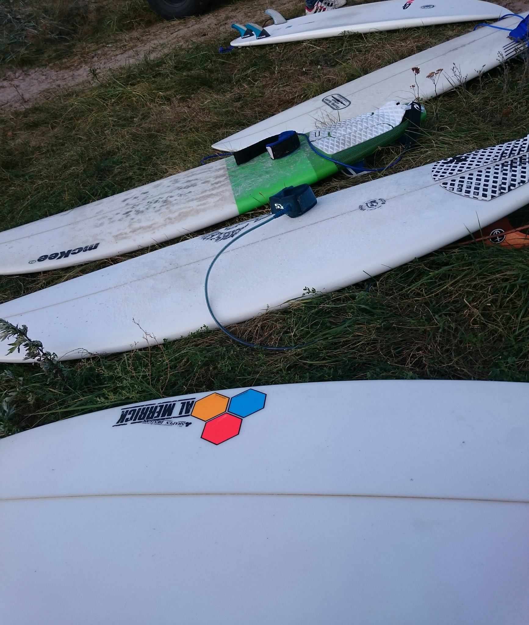 molas surf